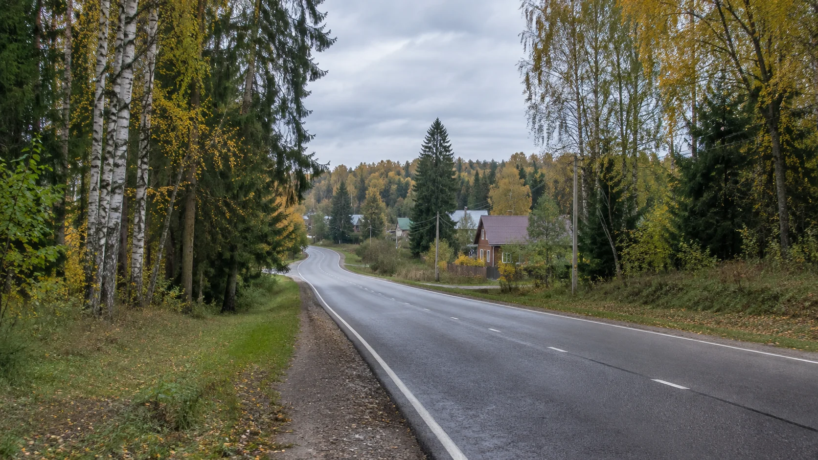 Загородная дорога среди леса и жилых домов